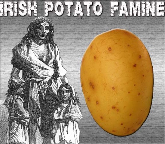 The Beginning of the Potato Famine