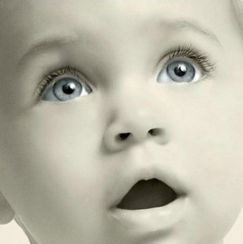 Nacimiento Jesús (hermano)