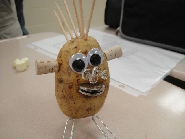 The Beginning of the Potato Famine