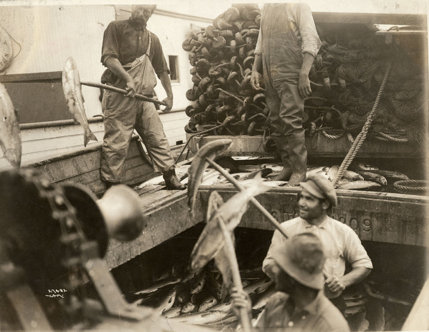 Clammed and fished for salmon on Lake Superior; slept where he could