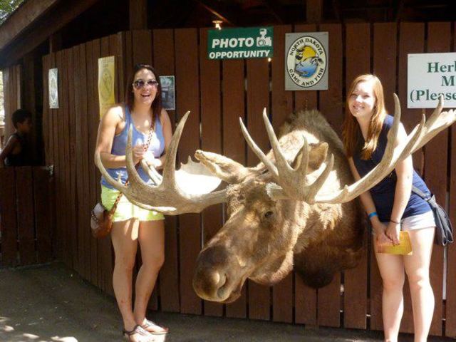 Another day at the fair and exhibits