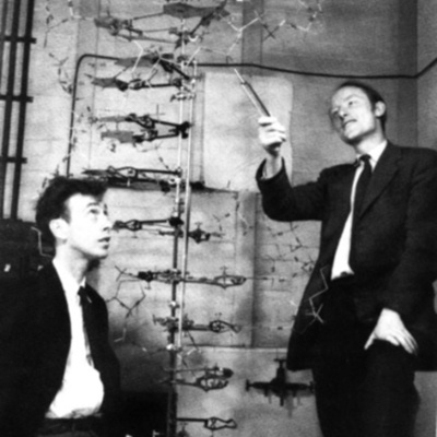 Timeline: Discovering the Structure of DNA