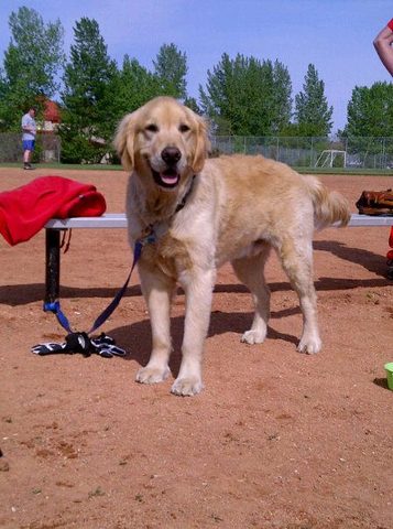 Beamer joins the family