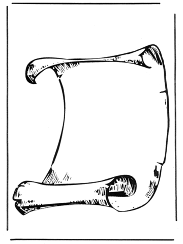 Brief naar president Roosevelt