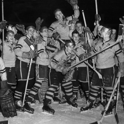 Timeline: Hockey Concussions