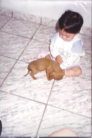 Meu primeiro cachorro