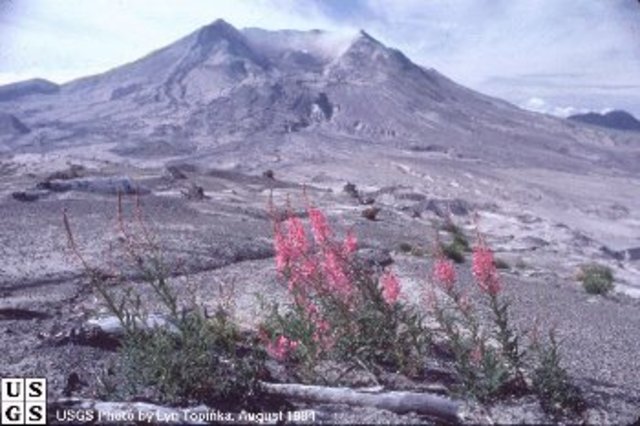Mount St.Helens