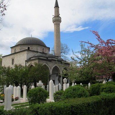 Timeline: Donovan Kavish