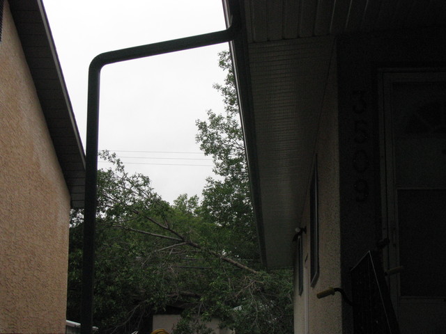 Tree in backyard breaks in wind storm and falls on neighbor's garage