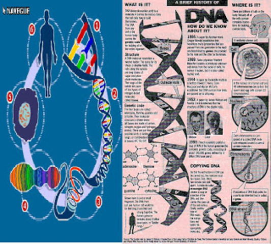 Anúncio da conclusão do sequenciamento do genoma humano