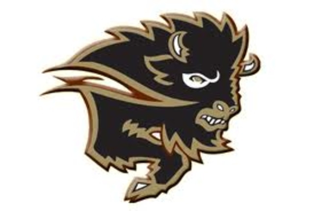 I made the Jr. Bisons