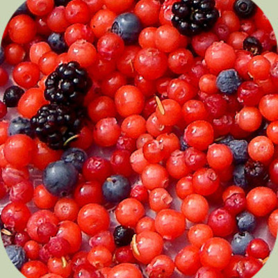 Timeline: Bad case of stripes- Alexandria Jolivet