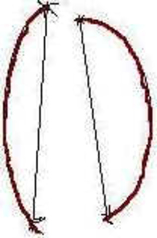 "antepasados" del violín los arcos.