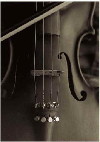 el violín
