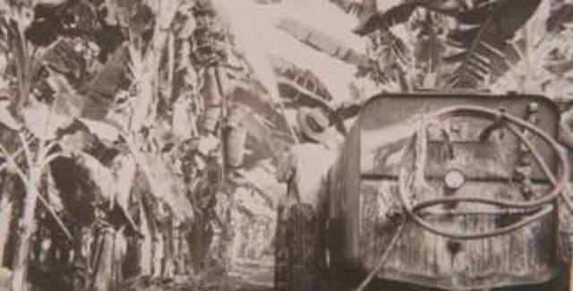 Masacre de las Bananeras