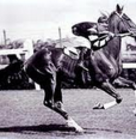 Phar Lap