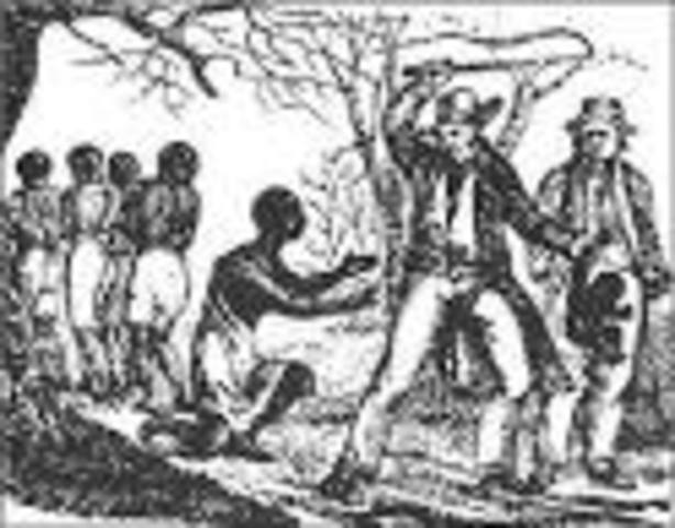 THE TRADERS HAVE COME