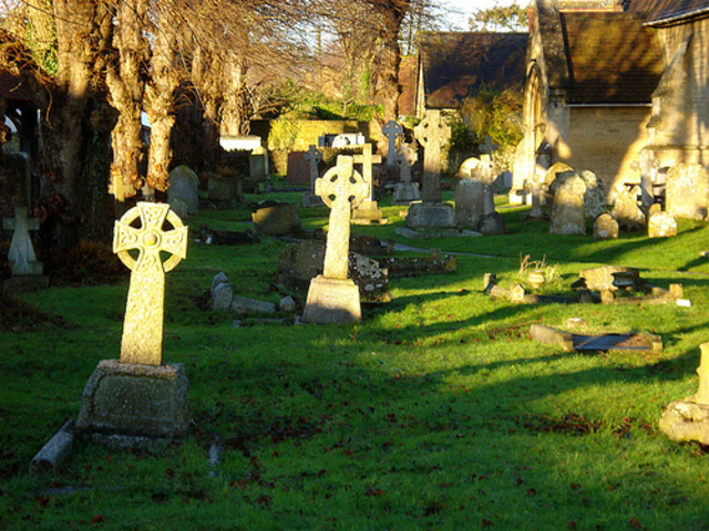 Illness Has Taken Over