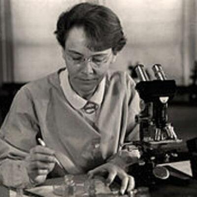 Timeline: Molly - Barbara McClintock