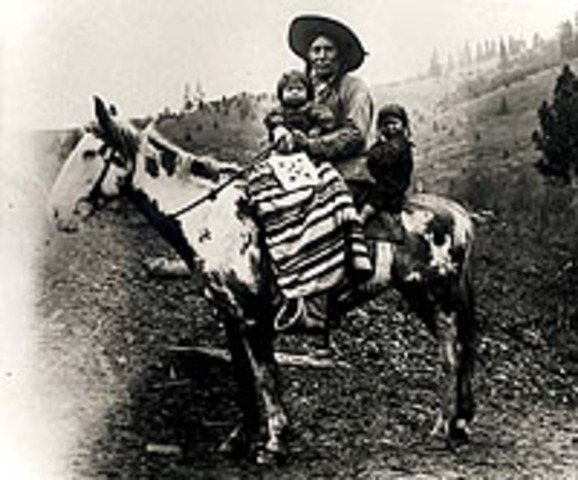 Nez Perce