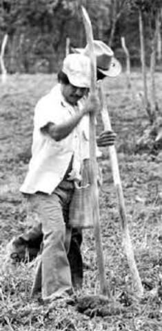 Homicidio del Jefe del Movimiento Agrario Comunista.