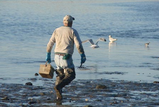 James Gatz works odd jobs