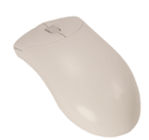 Computer Mouse & Windows