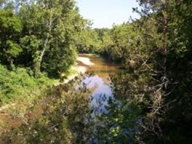 Battle of the Wilderness and Beyond