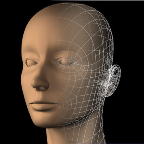Human face model was created