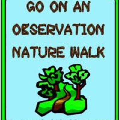 Timeline: Nature walk
