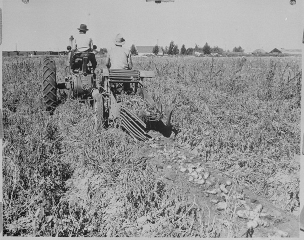 WRA Internment camps are closed except for Tule Lake Center