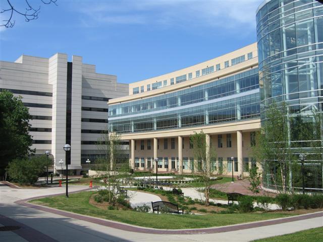 Birth of Hildegard von Bingen