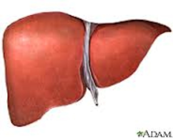 Locke supervises a liver operation on Lord Ashley