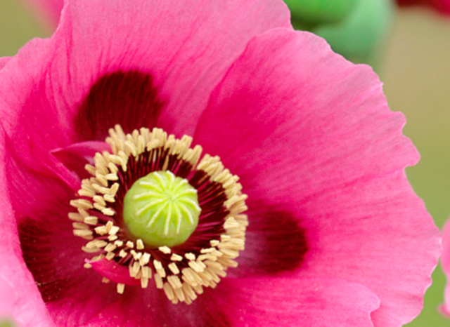 Nobel Prize awarded to Karl Ferdinand Braun and Guglielmo Marconi for the development of radio