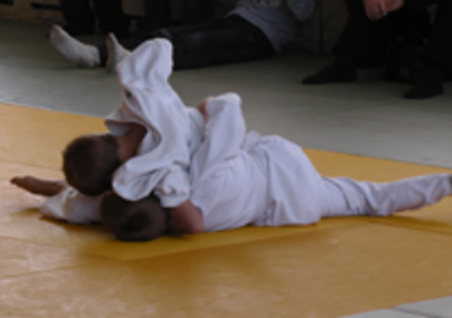 Турнир по дзюдо