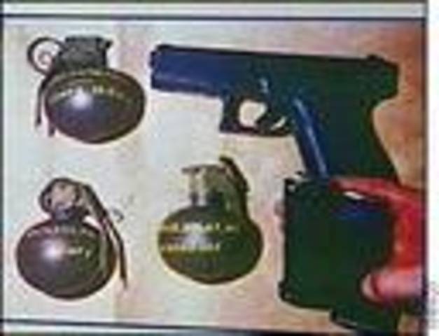 Peter Modernized the army