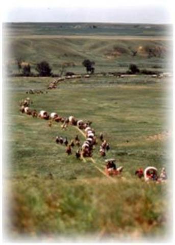 First large Oregon Trail wagon train