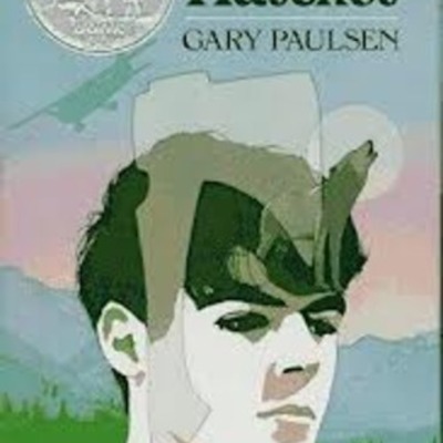 Timeline: Hatchet Timeline By:Richard