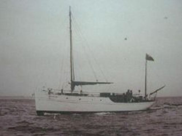 Dan Cody 5 year adventure