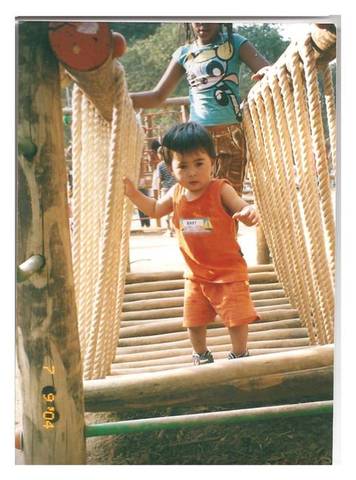 O parque Ibirapuera.(Amanda)