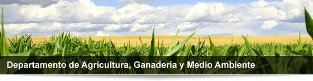 Estrategia Aragonesa de Educación Ambiental (EAREA), 2001-2003