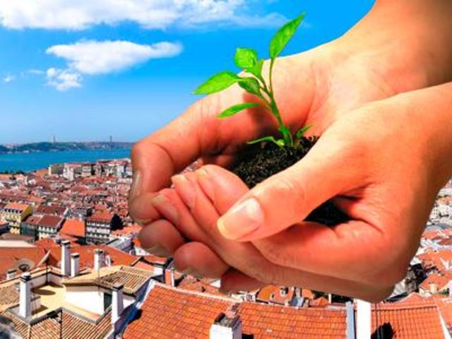 VI CONAMA  La Educación Ambiental en España: 34 Experiencias