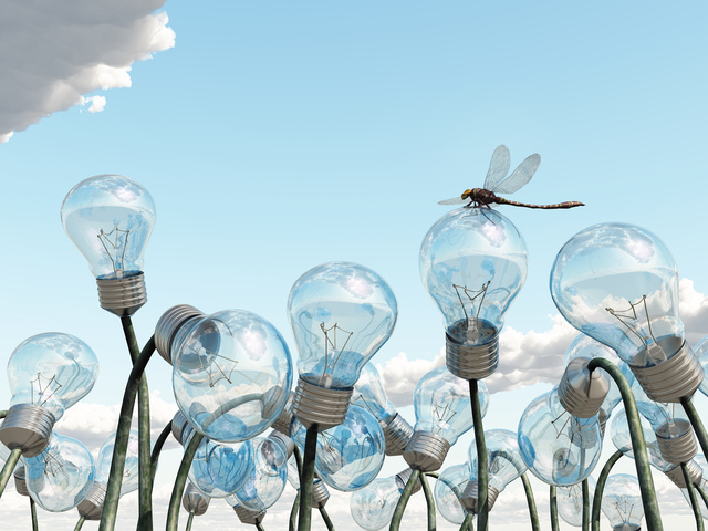 Como Ser Emprendedores Superando El Miedo A La Innovación