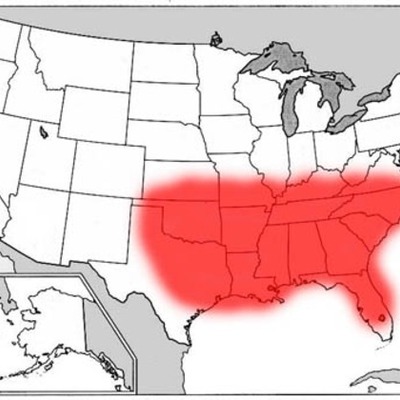 Timeline: The Bible Belt