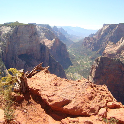 Timeline: Lesinski Timeline