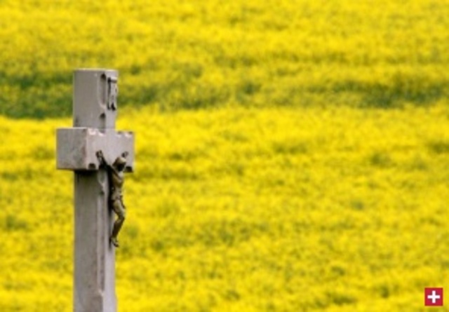 Jesus im Rapsfeld