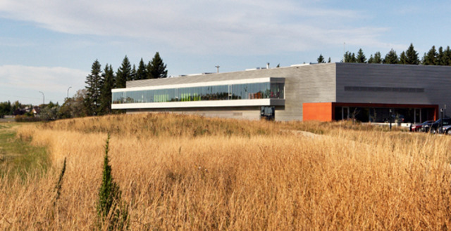 My mom quits her job, and I get scared