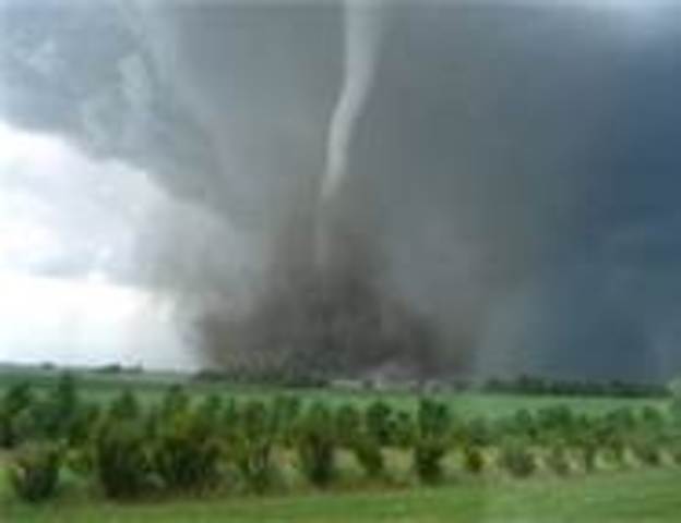 The Tornado