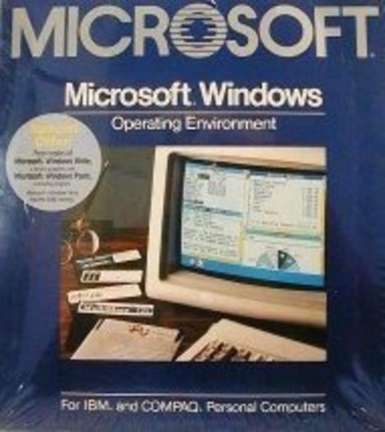 MICROSOFT WINDOWS