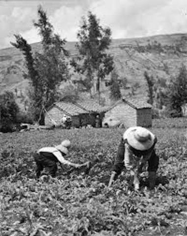 Czar Alexandar II Emancipates the Serfs